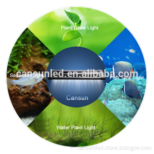 Using environment Fish Tank Light for led aquarium light
